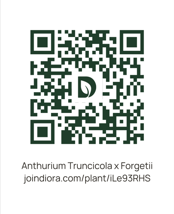 An Expanded label: a large QR code with the plant's name and its joindiora.com address under it.