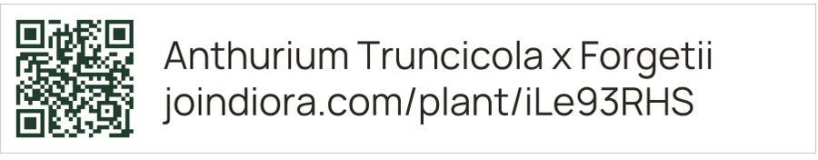 A Thin label: a small QR code with the plant's name and its address beside it.