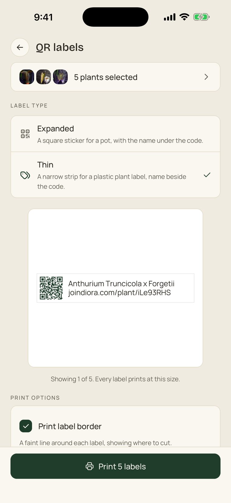 The QR labels screen with Thin selected and a preview of the strip.