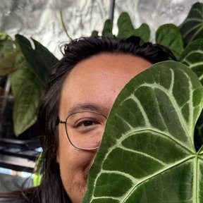 Jack, his face half behind an anthurium leaf, in front of the grow tent.