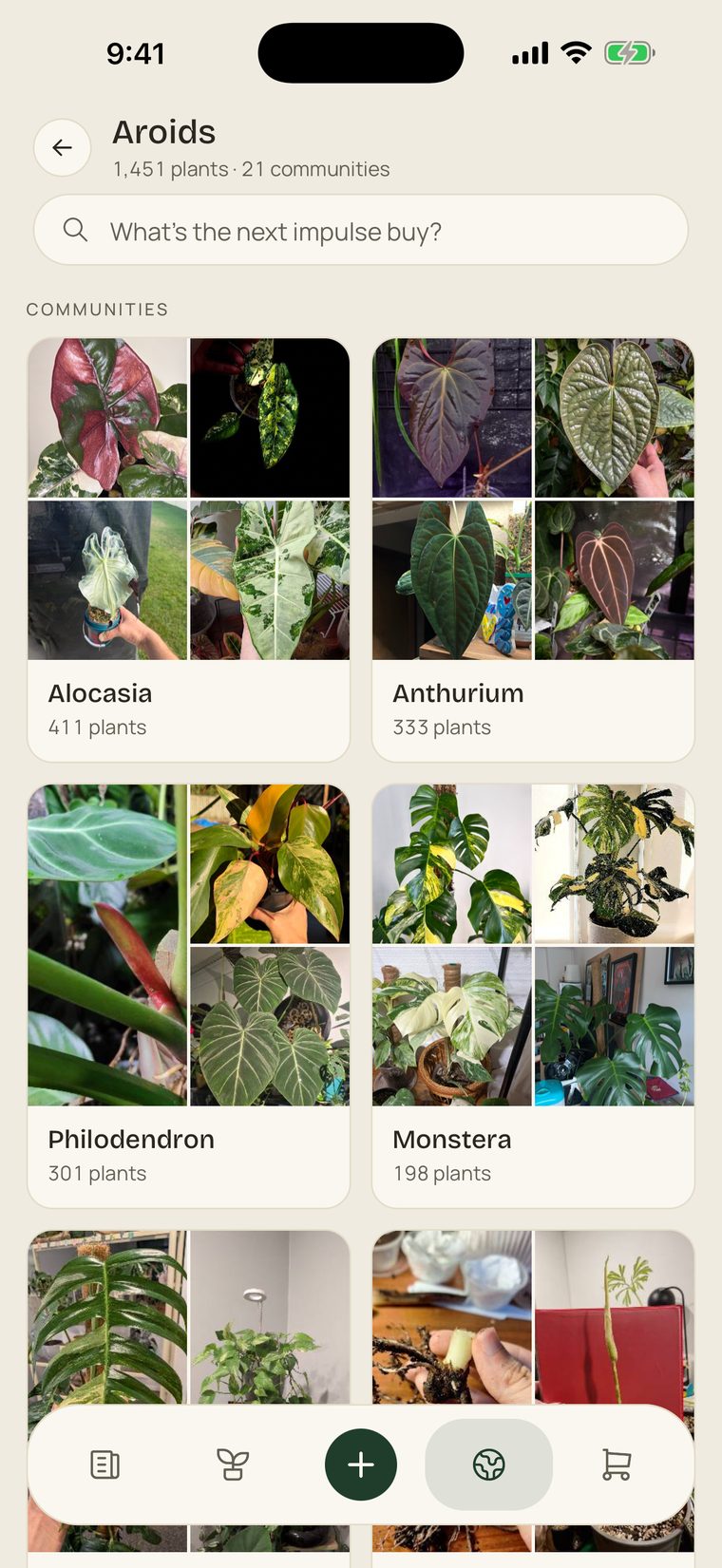 The Aroids page in Explore: a search field, then a grid of communities, Alocasia, Anthurium, Philodendron and Monstera, each a mosaic of four collectors' photos.