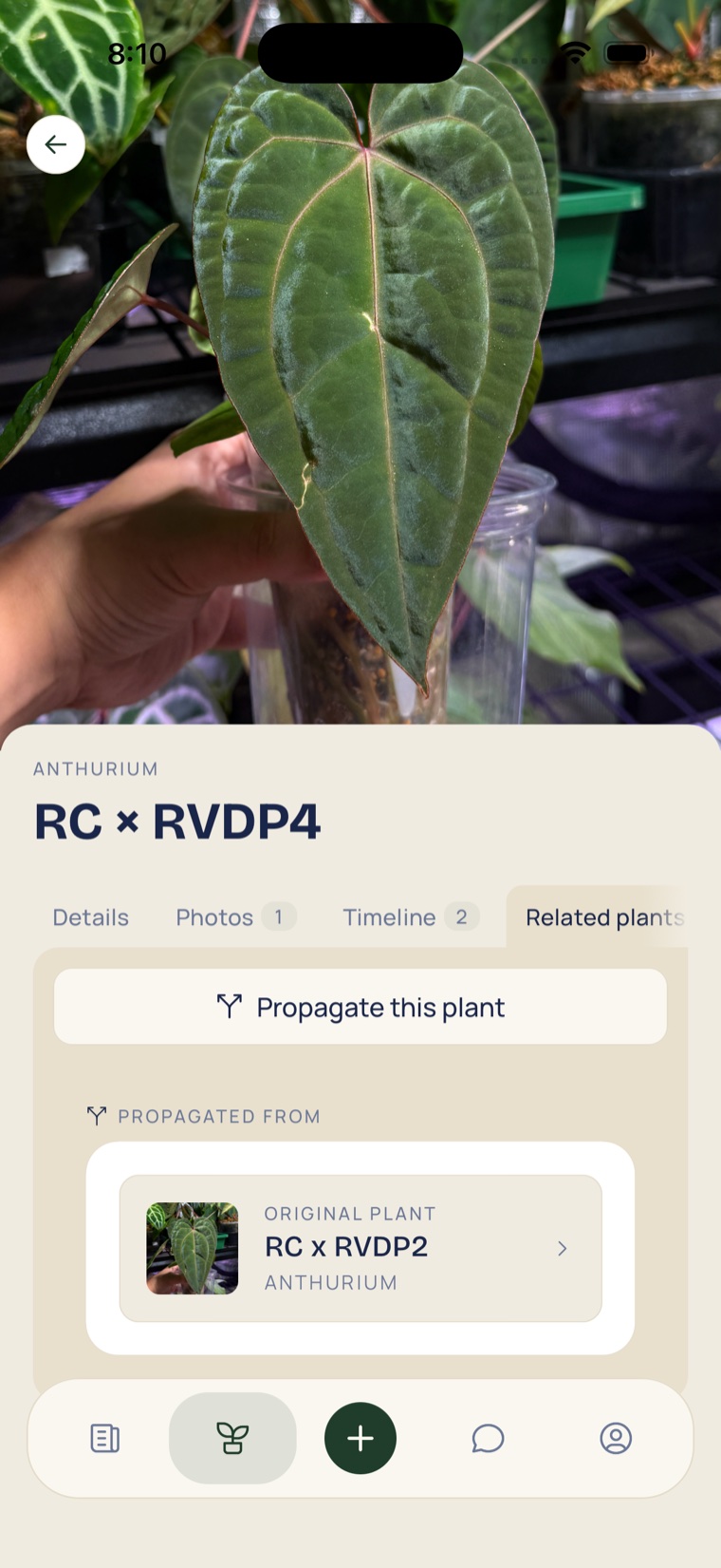 Diora plant detail screen showing a plant propagated from its original parent plant, with lineage recorded.