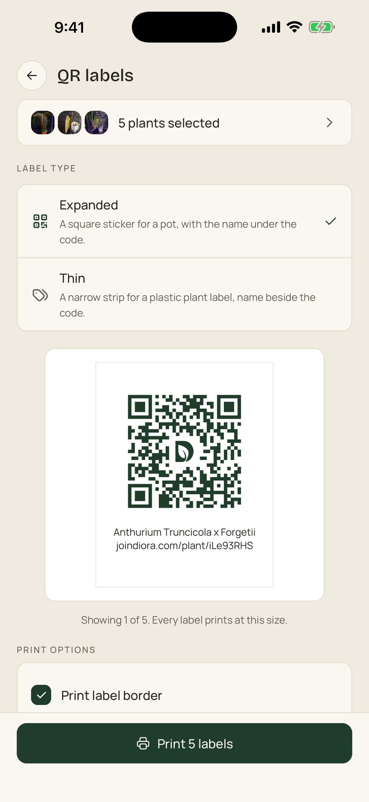 The QR labels screen: five plants selected, the Expanded and Thin label types, and a preview of one square label with the plant's name and its joindiora.com address under the code.